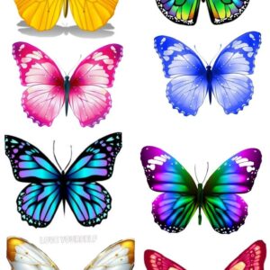 Mariposas Decorativas